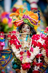 Daily Darshan