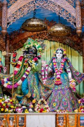 Daily Darshan