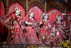 Daily Darshan