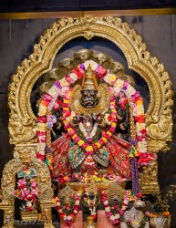 Daily Darshan
