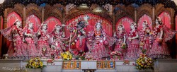 Daily Darshan