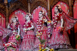Daily Darshan
