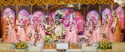 Daily Darshan