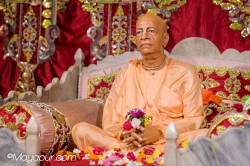 Daily Darshan