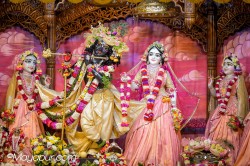 Daily Darshan