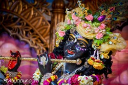 Daily Darshan