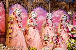 Daily Darshan