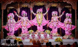 Daily Darshan