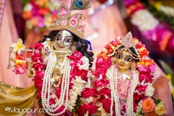 Daily Darshan