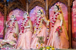 Daily Darshan