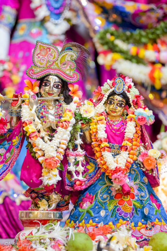 Daily Darshan