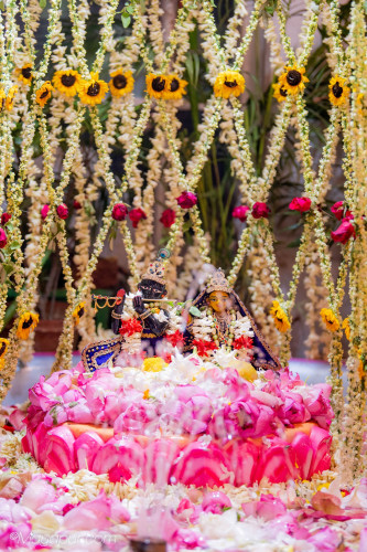 Daily Darshan
