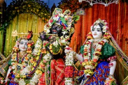 Daily Darshan