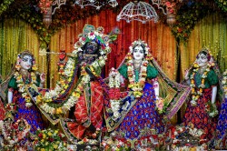 Daily Darshan
