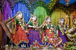 Daily Darshan