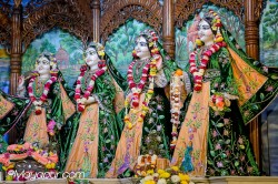 Daily Darshan