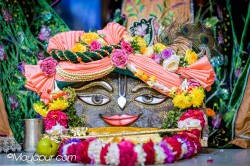 Daily Darshan