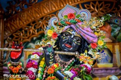 Daily Darshan