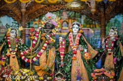 Daily Darshan
