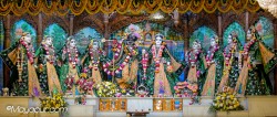 Daily Darshan