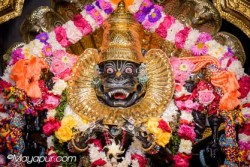 Daily Darshan