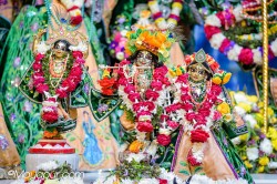 Daily Darshan