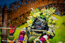 Daily Darshan