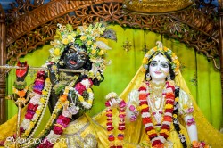Daily Darshan