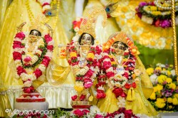Daily Darshan