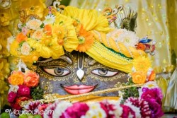 Daily Darshan