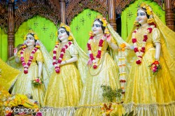 Daily Darshan