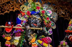 Daily Darshan