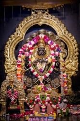 Daily Darshan