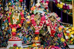Daily Darshan