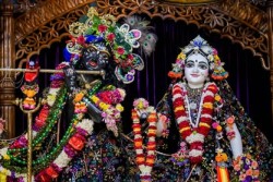 Daily Darshan