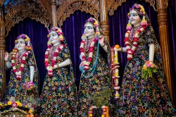 Daily Darshan