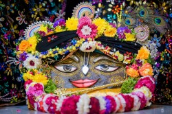 Daily Darshan