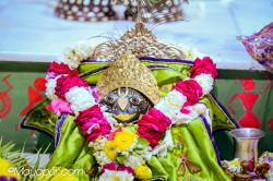 Daily Darshan