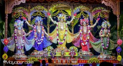 Daily Darshan