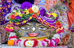 Daily Darshan