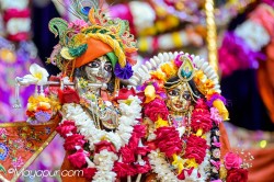 Daily Darshan