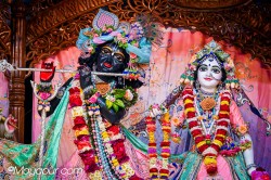 Daily Darshan