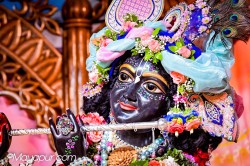 Daily Darshan