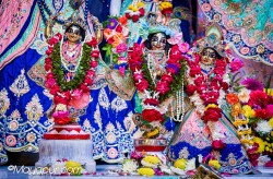 Daily Darshan