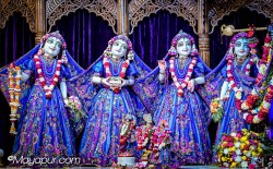 Daily Darshan