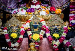 Daily Darshan