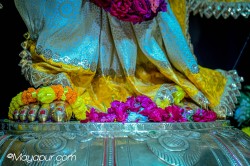 Daily Darshan