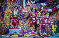 Daily Darshan