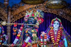 Daily Darshan