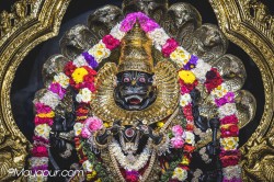 Daily Darshan